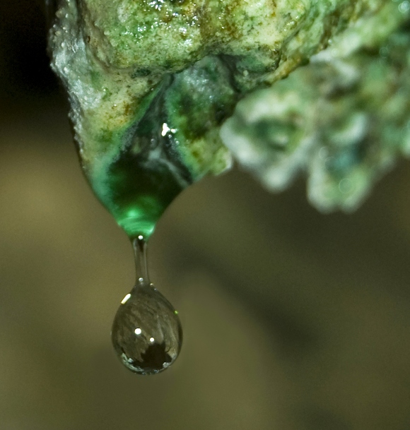 La Tira de los Lectores: Mi foto por el Día Mundial del Agua