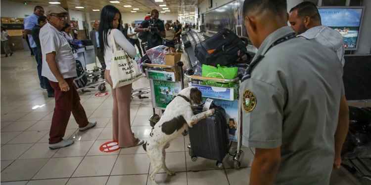 aduana-de-cuba-reporta-incautaciones-de-drogas,-dolares-falsos-y-oro-ilegal