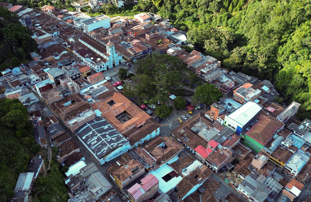 asi-“censaron”-los-arboles-mas-valiosos-de-50-municipios-de-antioquia