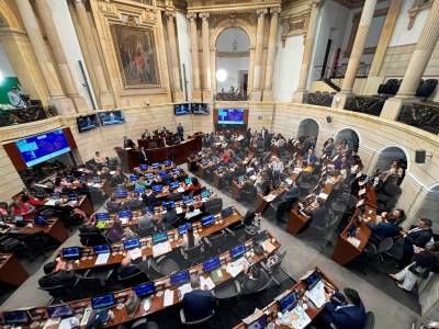 Senado dijo “no” y hundió el proyecto que permitía el transfuguismo