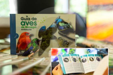 Lanzan guía de aves de Rionegro para lograr su conservación
