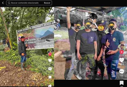 ONU prende la alerta por uso criminal de TikTok para reclutar menores