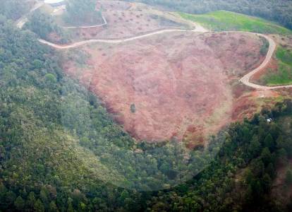 Alarma por deforestación en la Amazonía: 88.000 hectáreas arrasadas en seis meses