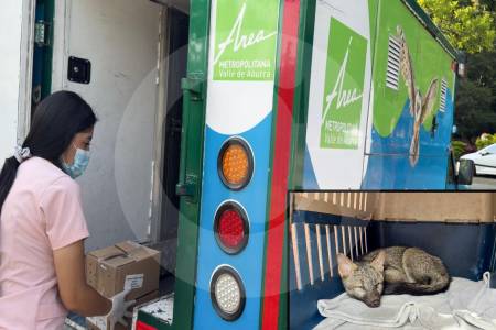 Se dispara rescate de animales silvestres en el Valle de Aburrá: van 17.000 desde 2024