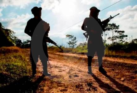 Disidentes de Iván Mordisco intimidaron en Guaviare con un paro armado, ¿qué responde el Gobierno?