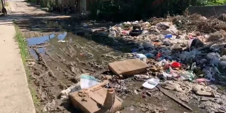 Cuba reporta brote simultáneo de dengue, Oropouche e influenza