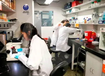 Colombia, quedada en estudios clínicos: solicitudes pasaron de 85 a 87 en 10 años