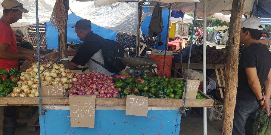 El pueblo paga: los altos precios que asfixian a los cubanos