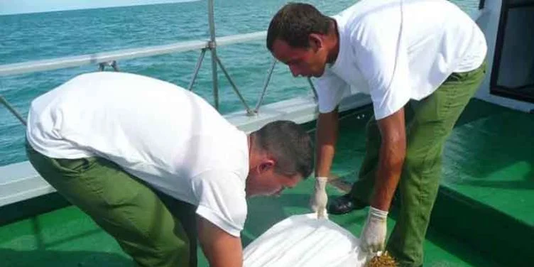 MININT amplía zona restringida en el sur de Granma por recalos de drogas