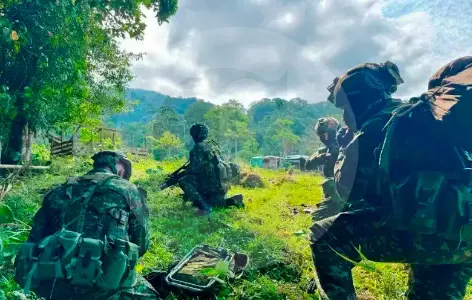 explosion-de-burro-bomba-deja-un-militar-muerto-y-dos-heridos-en-valdivia