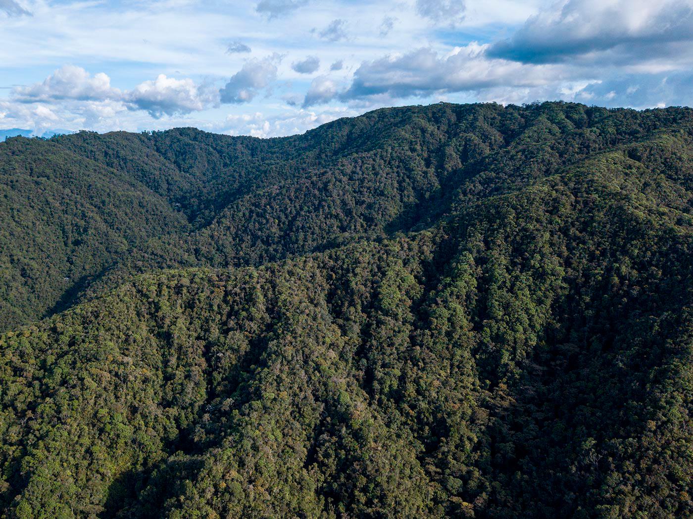 Hasta para montar en moto arrasan bosques cerca a Medellín