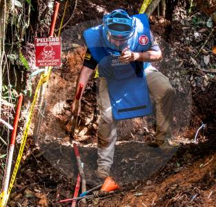Una mula murió al pisar una mina antipersonal en una vereda de Segovia, Antioquia