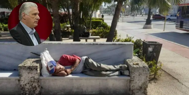 si-son-suyos,-lleveselos-para-su-casa
