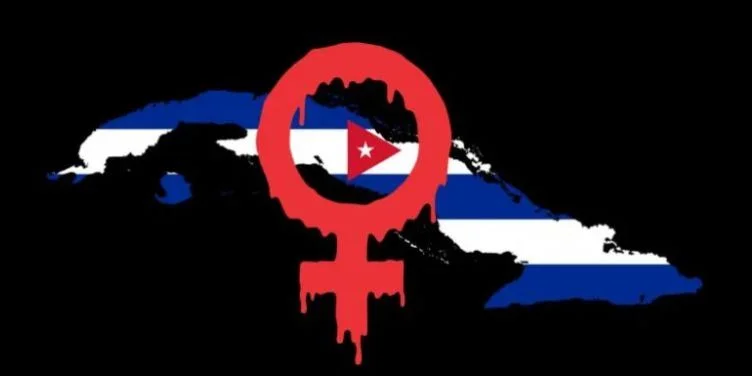 Plataformas independientes confirman casi 20 feminicidios en el primer semestre de 2025