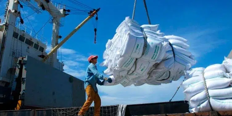 El descalabro de las exportaciones cubanas