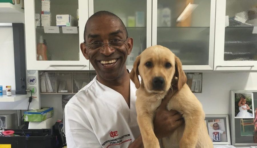De repartir pizzas en Berlín a revolucionar la odontología veterinaria en Europa