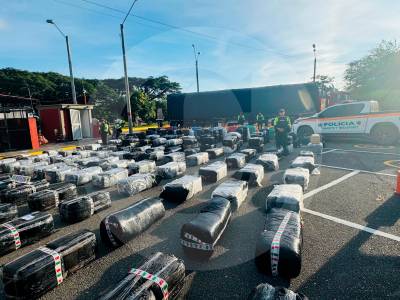 narco-cebollas:-descubren-4,9-toneladas-de-marihuana-en-un-cargamento-de-la-hortaliza-en-valle