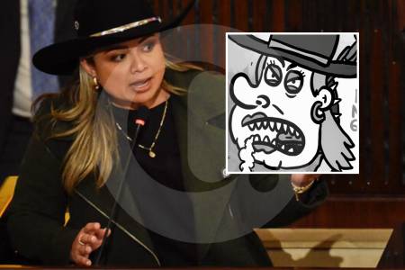 “los-unicos-chandosos-son-ustedes”:-la-fuerte-respuesta-de-lina-maria-garrido-por-caricatura