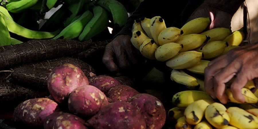 La falta de turismo provoca “excedentes” de comida en Cuba, según la prensa castrista