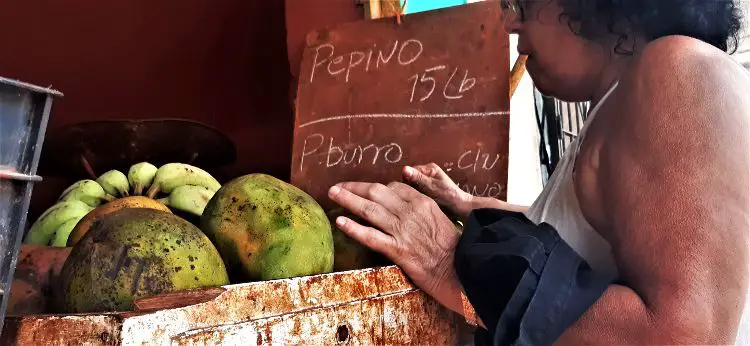 Food Monitor Program: un cubano necesitaría 10 salarios mínimos para alimentarse