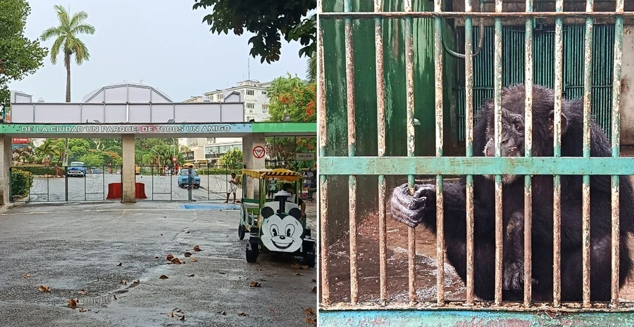 De refugio a ruina: el ocaso del Jardín Zoológico de La Habana