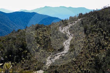 ganaron-los-frailejones:-el-paramo-del-sol-seguira-cerrado-al-turismo