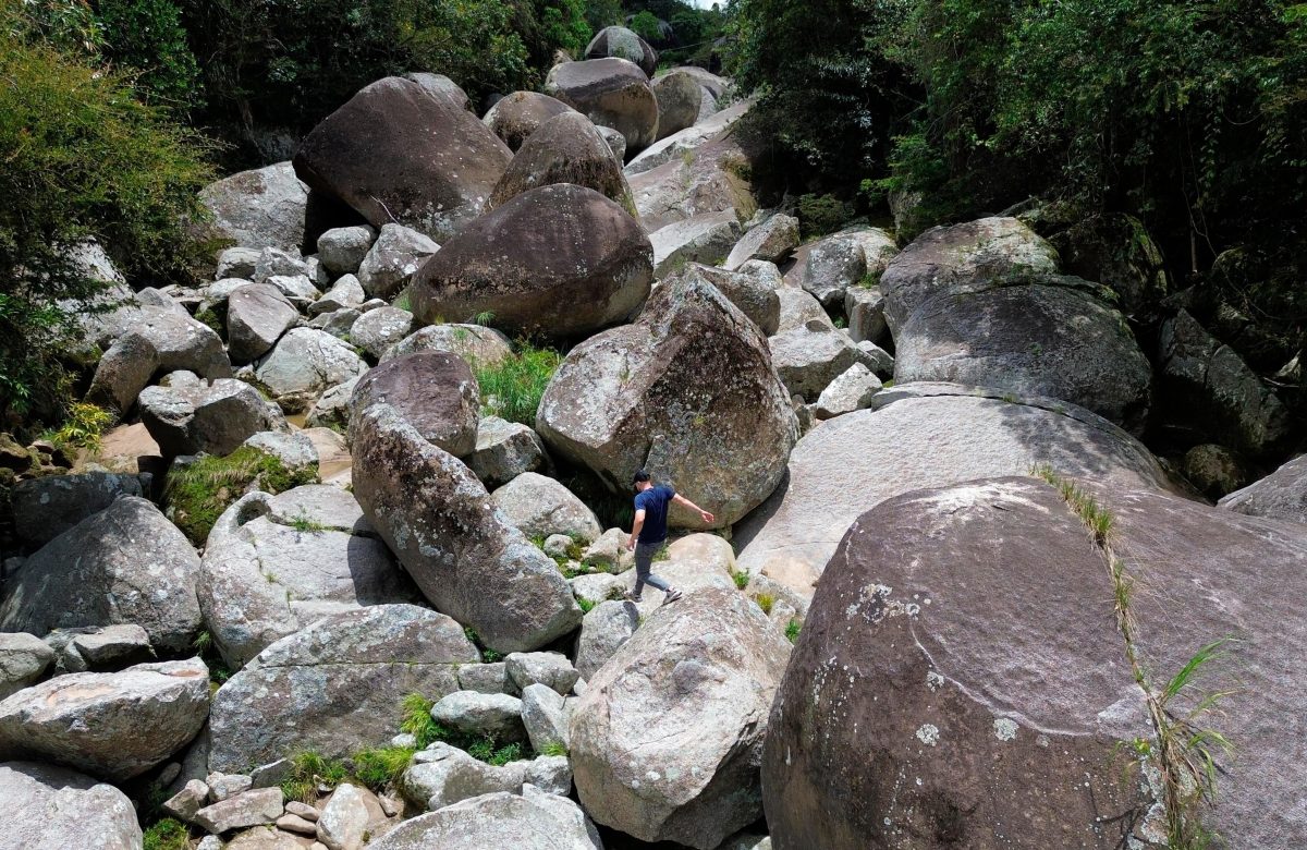 el-acto-de-ilusionismo-del-rio-nechi-en-yarumal:-un-organal-desconocido-en-antioquia