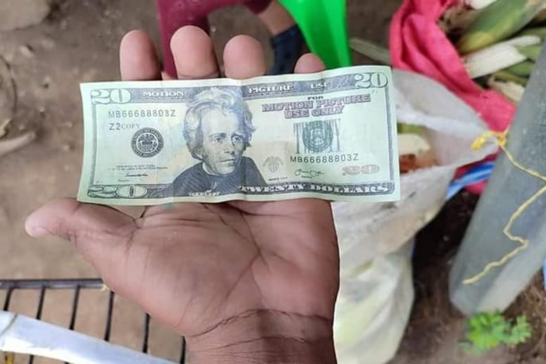 nicaraguenses-en-eeuu-siguen-manteniendo-la-economia-de-ortega-–-nicaragua-investiga