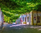 ‘a-perfect-symbiosis’:-planting-vines-and-other-ways-hot-cities-are-creating-cool-spaces