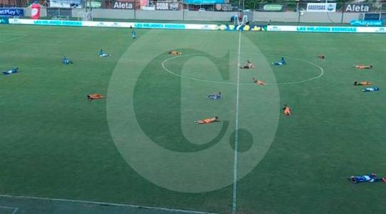 Otra emergencia por abejas: esta vez hicieron suspender el partido entre Envigado y Millonarios