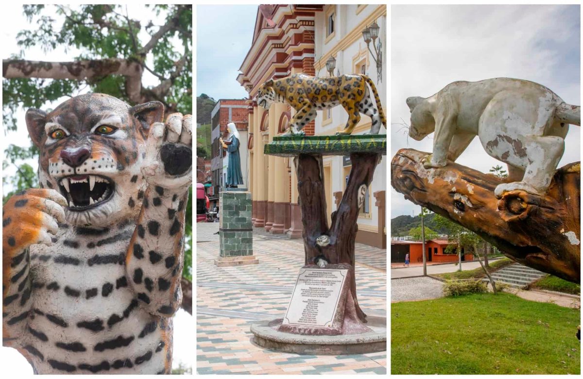 el-tigre-de-amalfi:-la-caza-de-un-jaguar-que-marco-la-identidad-de-este-pueblo-de-antioquia