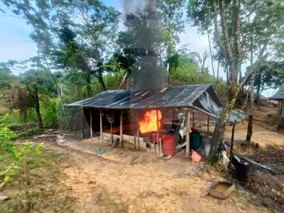 Coca para todos los grupos ilegales: destruyen cuatro laboratorios en el Bajo Cauca