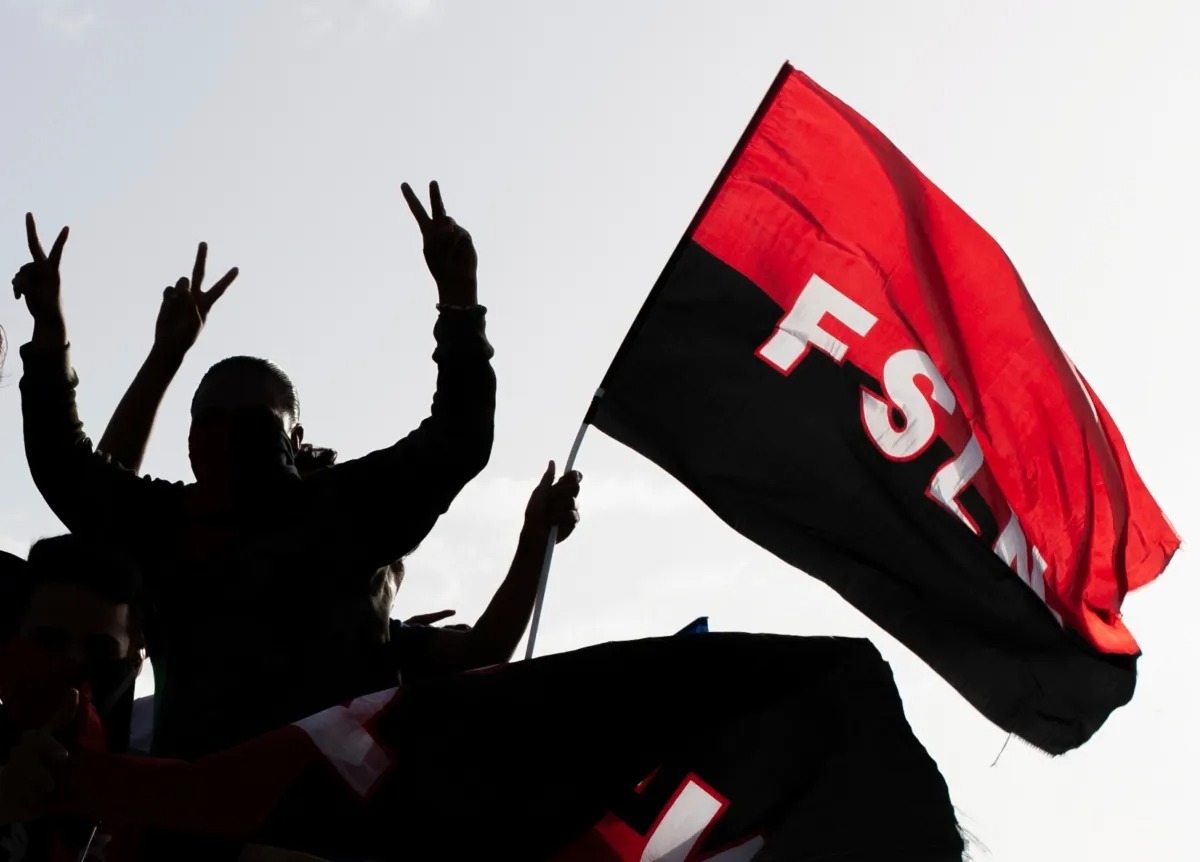 MINED promueve bandera sandinista como «símbolo patrio»
