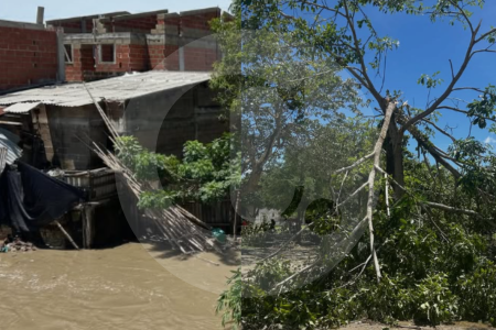 Fotos | Vendaval en Sucre dejó viviendas destruidas, heridos y decenas de aves muertas