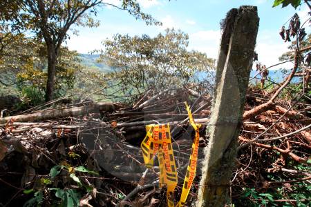 ¡Arde Andes! Sacaron a dos hombres de una finca para asesinarlos; uno fue decapitado
