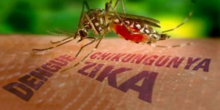 Santiago de Cuba advierte sobre alza de enfermedades digestivas y arbovirosis