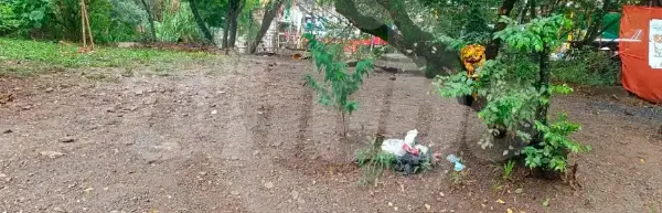 ¿Un robo o una venganza? En Bello mataron a un hombre a puñaladas