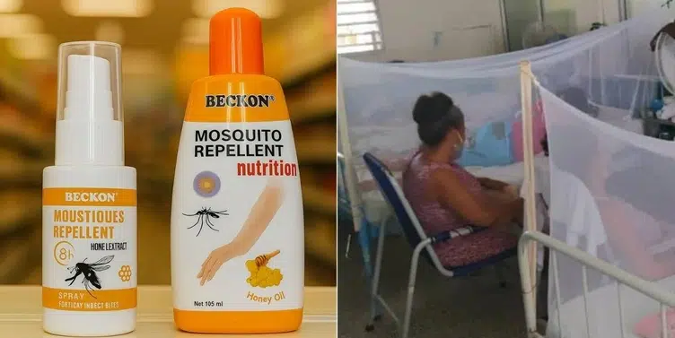 Régimen cubano lucra con repelentes en dólares en medio de brote de dengue