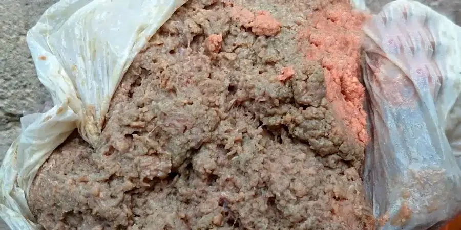 «Eso no hay quién se lo coma»: holguineros denuncian venta de picadillo podrido para niños