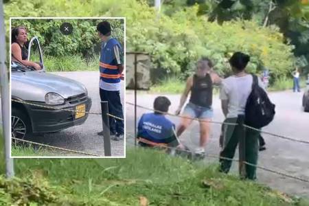 Presunta “chivera” golpeó a joven estudiante de un colegio de Bello, ¿por qué?