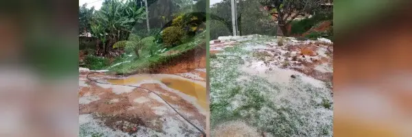 Fotos | Granizada destrozó cultivos y afectó viviendas en Guarne, Antioquia