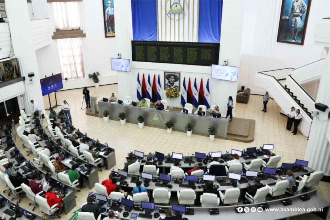 Votación exprés: Asamblea Nacional aprueba Ley de Zonas Económicas Especiales