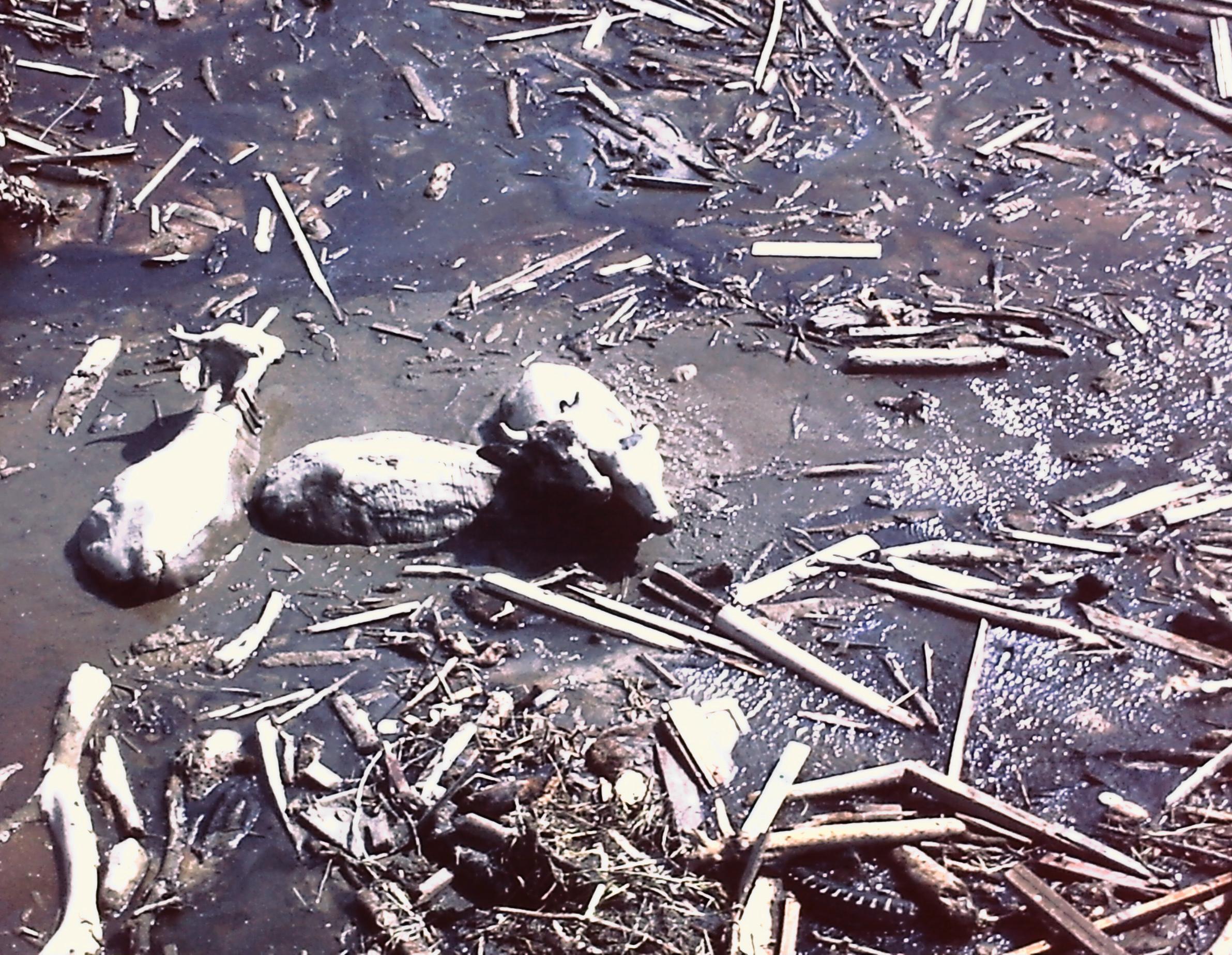 40 años de la tragedia de Armero: “No olvidaré jamás el olor a muerte”