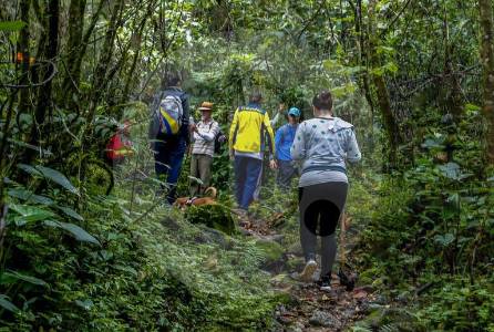 Así fue como se perdieron ocho senderistas en La Estrella, de nuevo, en El Romeral