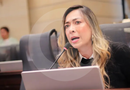 “en-el-congreso-hay-‘therians’:-focas-que-le-aplauden-a-petro”:-congresista-katherine-miranda