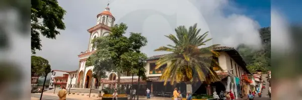 Tragedia en Támesis, Antioquia: asesinaron a un hombre y robaron tres vehículos