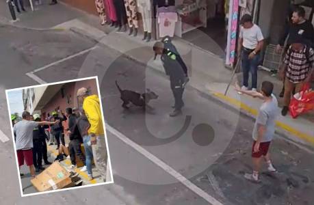 Policía anunció proceso contra uniformado que disparó contra perro en Rionegro, Antioquia