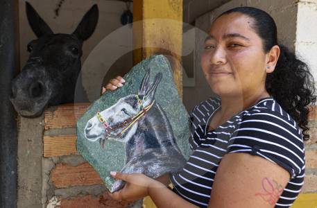 la-historia-de-bartolo,-el-burro-que-le-cambio-el-destino-a-este-pueblo-de-antioquia