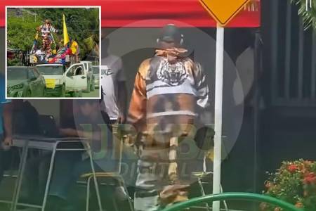 fue-a-votar-vestido-de-tigre-en-chigorodo-¿lo-dejaron-votar?