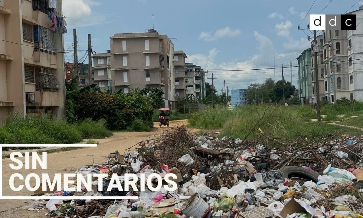 asi-es-la-vida-hoy-en-la-lisa,-uno-de-los-municipios-menos-poblados-de-la-habana